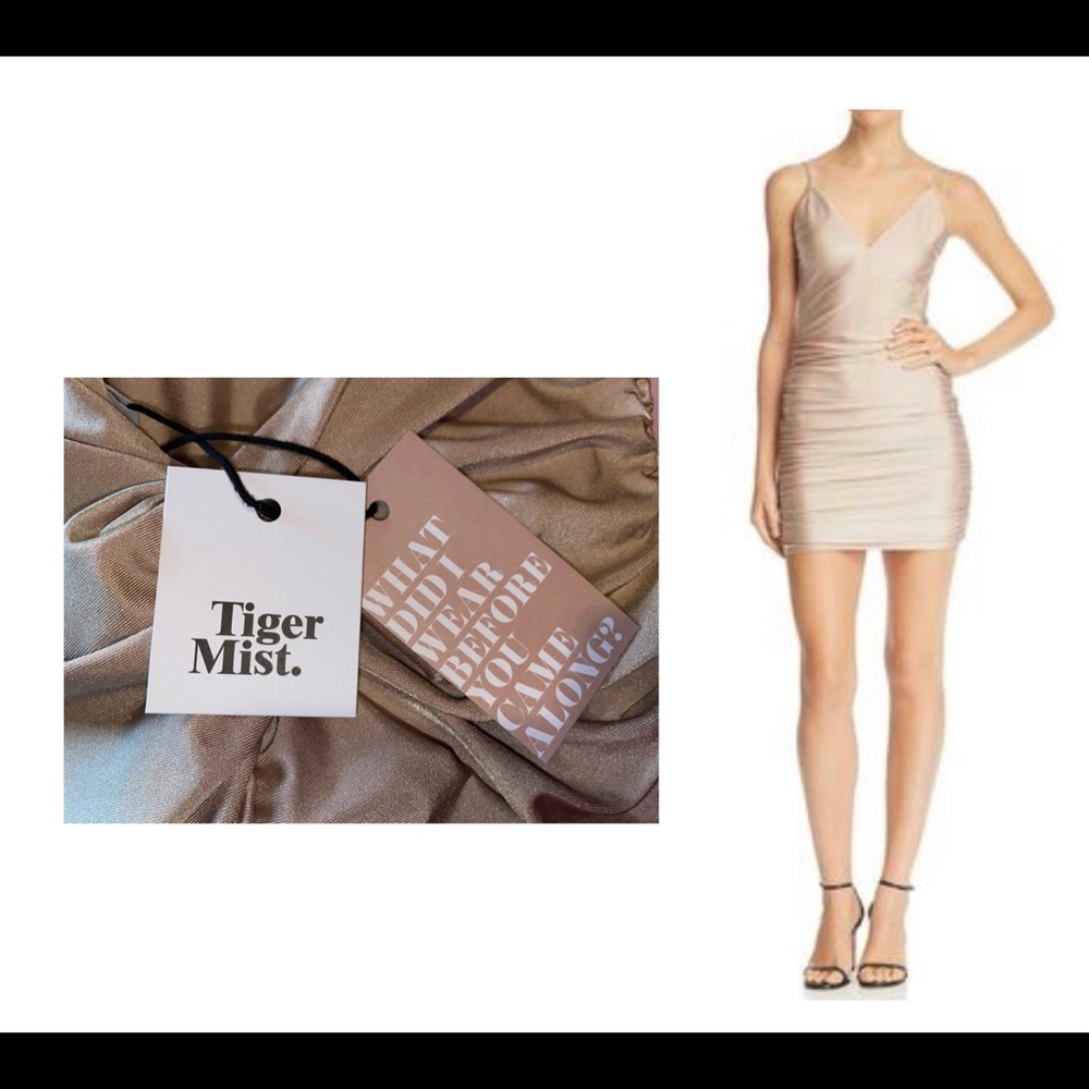 *NWT*👗Tiger Mist Ally Dress in Champagne SizeM👗